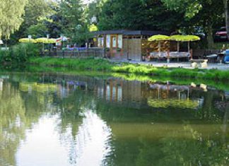 Kostenlos für Neueinsteiger