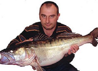 15-Pfünder aus dem Rhein