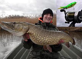 Spitzenfänge auf 4Play