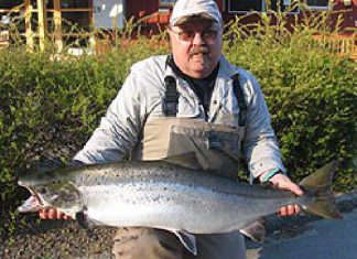 Erster Blanklachs aus der Mörrum