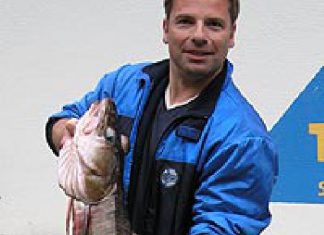 Gute Fische aus dem Bjørnafjord