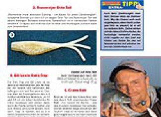 DER RAUBFISCH 4/2008