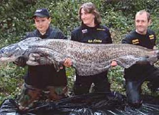 120-Pfünder aus Schlossweiher