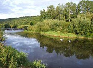 Grenzenlose Angelfreude