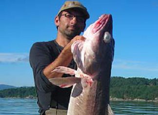 Gute Fänge im Bjørnafjord