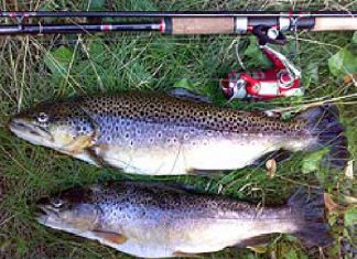 Unsere Prämien fangen!