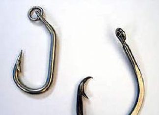 Kreishaken schonen Schildkröten