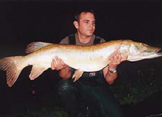 27-Pfünder auf Blech