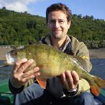 Barsch aus dem Edersee