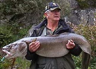 Größter Leng aus dem Bömlo-Fjord