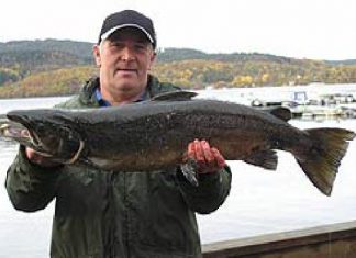 Unverhofft kommt oft