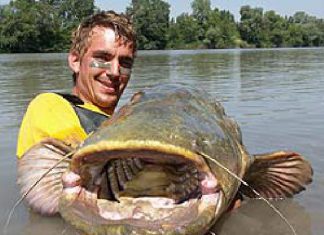 2. Internationale Wallermesse