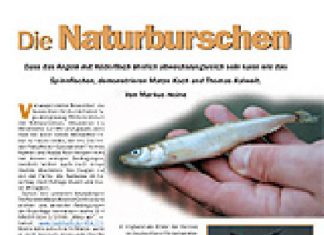 DER RAUBFISCH 1/2009