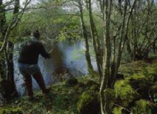 Zeig mir, wo die Hechte stehen