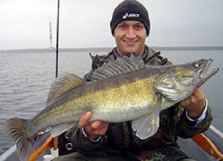 Kein schlechter Tausch