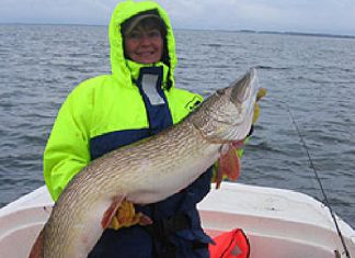 Großhecht auf „Gopher“