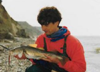 Spinn-Gelüste an der Küste