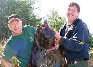 120-Pfund-Heilbutt auf Anhieb