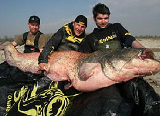 Erfolg ist kein Zufall