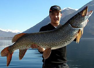 Großhecht aus Italien