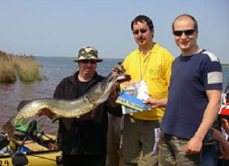 Spinnangelcup in Sachsen-Anhalt