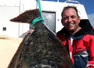 Auf Biegen und Brechen