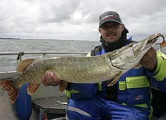 195 Dorsche und 172 Hechte