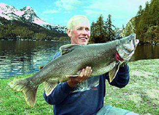 Namaycush aus der Schweiz