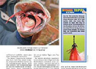 DER RAUBFISCH 4/2009