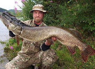 Kleiner Köder – großer Hecht