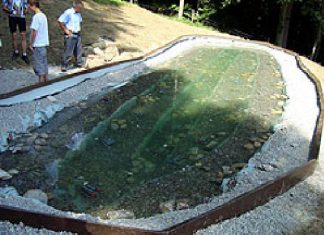 Schweiz: Steinkrebszucht eröffnet