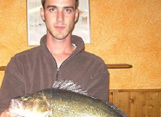 Barsch-Brummer auf Twister