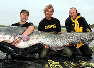 100 Waller über 2 Meter