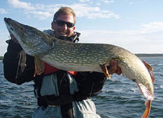 Brummer aus den Bodden