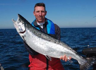 Lachse abschleppen unter Anleitung