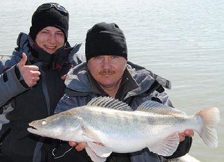 Italien: Kein Öl im Po