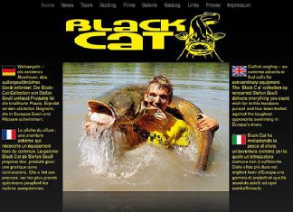 „Team Black Cat“ jetzt online