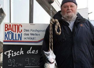 Meerforelle auf Pilker