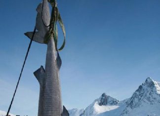 Riesenfische aus dem Eis