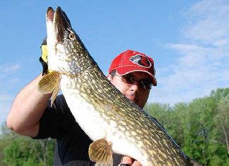 Drei auf einen Streich