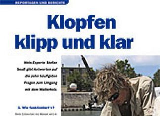 DER RAUBFISCH 4/2010