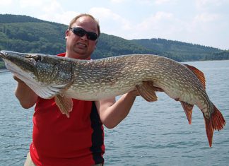 31-Pfünder aus dem Biggesee