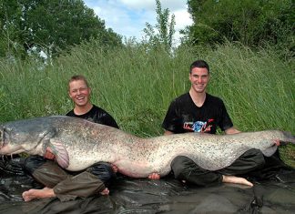 Zwillinge aus zwei Flüssen