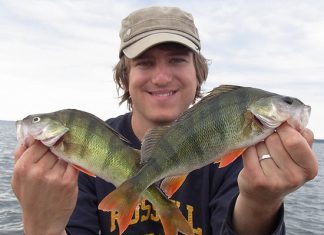 Barschalarm in Mecklenburg