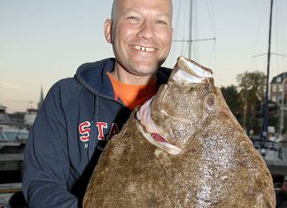 Schöner Steinbutt aus der Ostsee