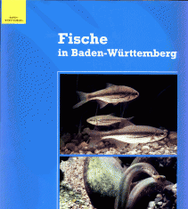 Baden-Württemberg: Neuer Fisch-Atlas