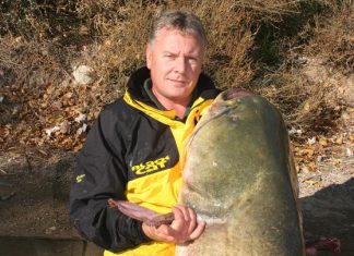 Englische Verstärkung für Black Cat