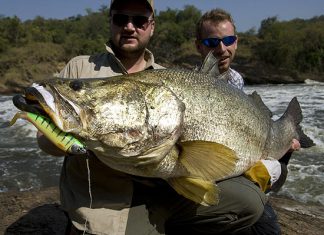 Große Fische auf große Gummis