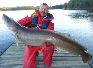 Tolle Fänge in Südnorwegen