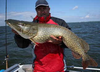 Vier Meterhechte bis 122 Zentimeter